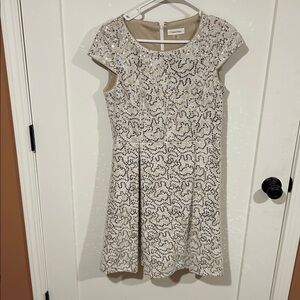 Calvin Klein Cream and Silver Lace Dress